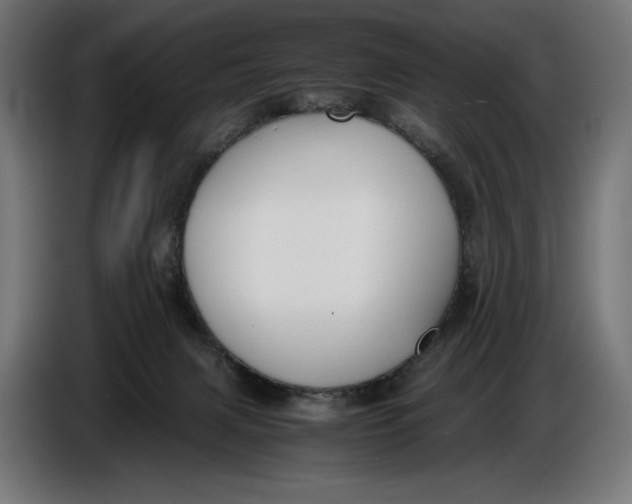 X0000086760079200705041456