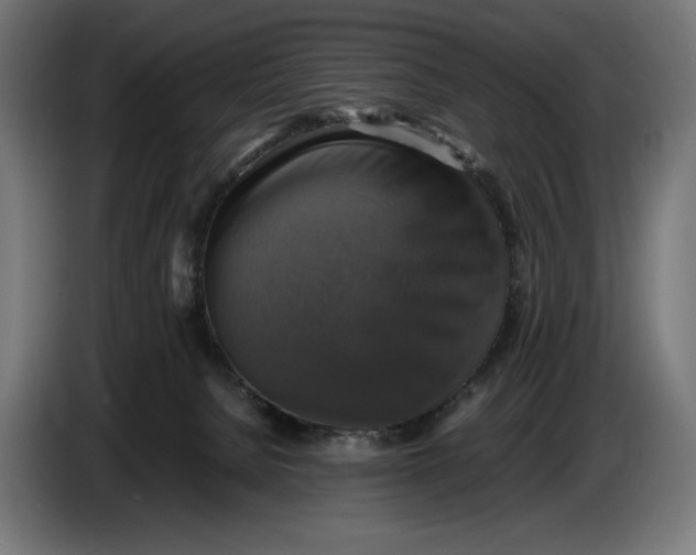 X0000086760080200705041456