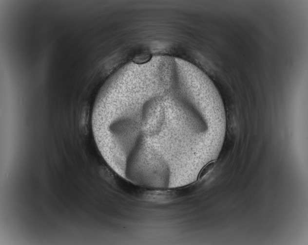 X0000086760082200705041456