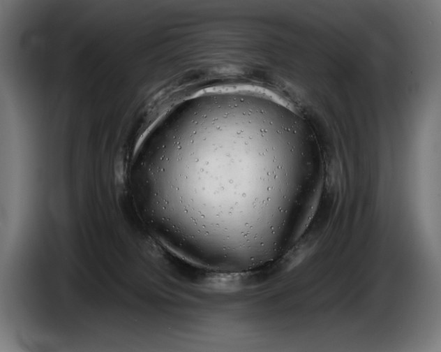 X0000086760084200705041456