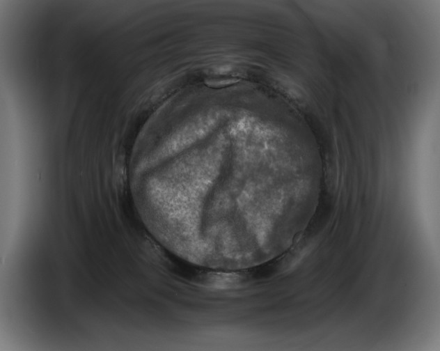 X0000086760085200705041456