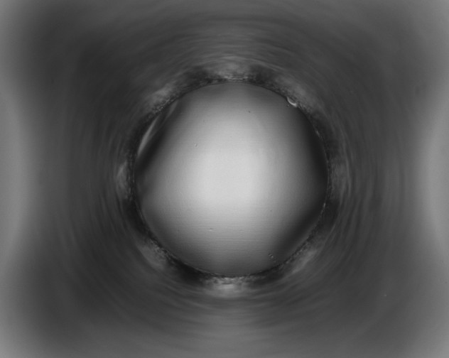 X0000086760088200705041456