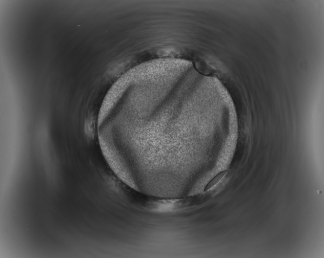 X0000086760090200705041456