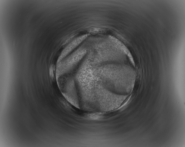 X0000086760094200705041457