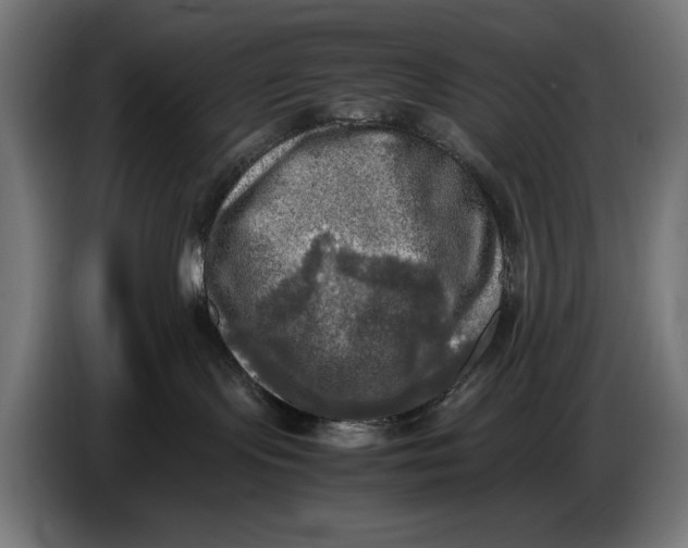 X0000086760095200705041457