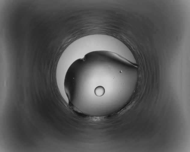 X0000086760096200705041457