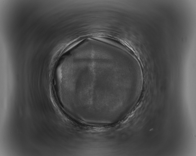 X0000086760097200705041456