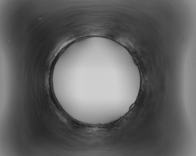 X0000086760098200705041456