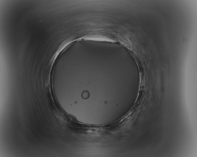 X0000086760099200705041456