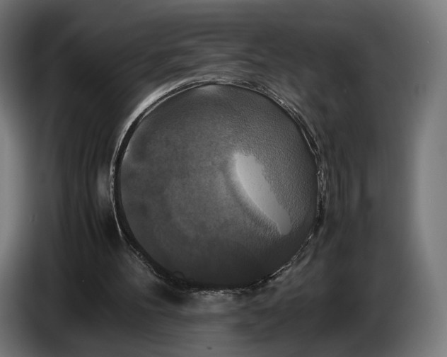 X0000086760100200705041456