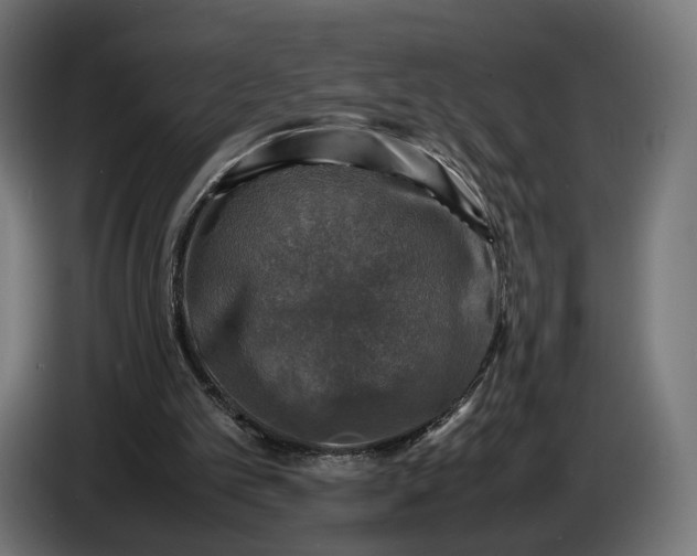 X0000086760101200705041456