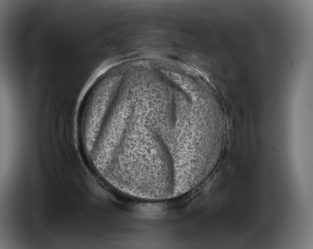 X0000086760102200705041456