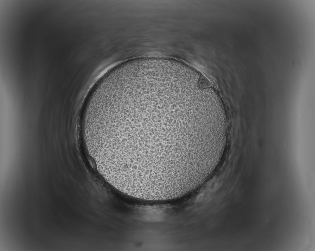 X0000086760103200705041456