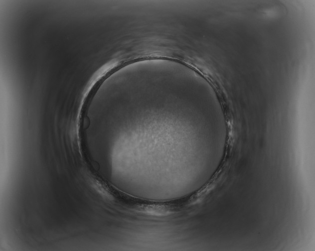 X0000086760104200705041456