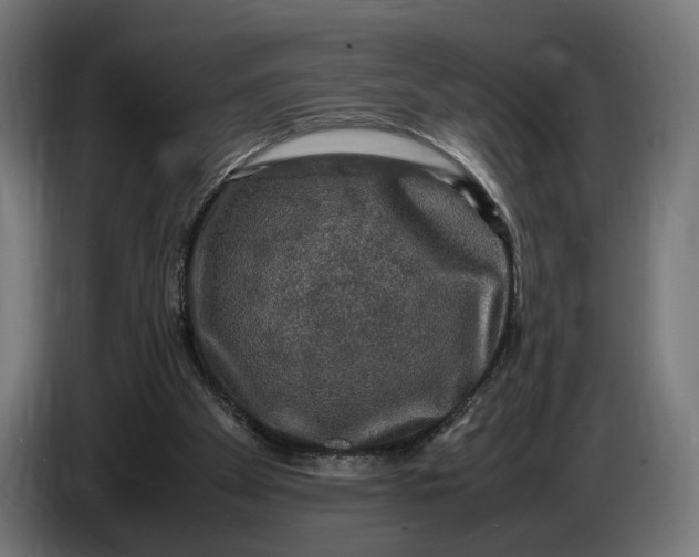 X0000086760105200705041456