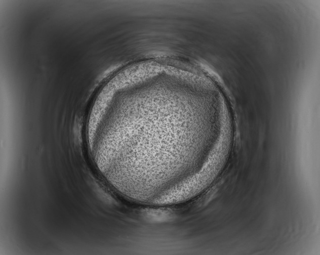 X0000086760106200705041456