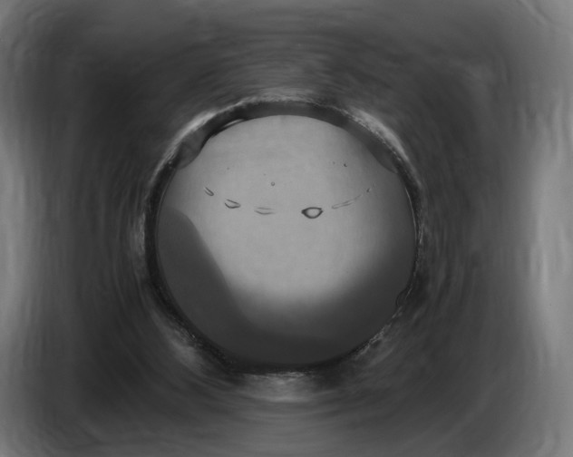 X0000086760108200705041456