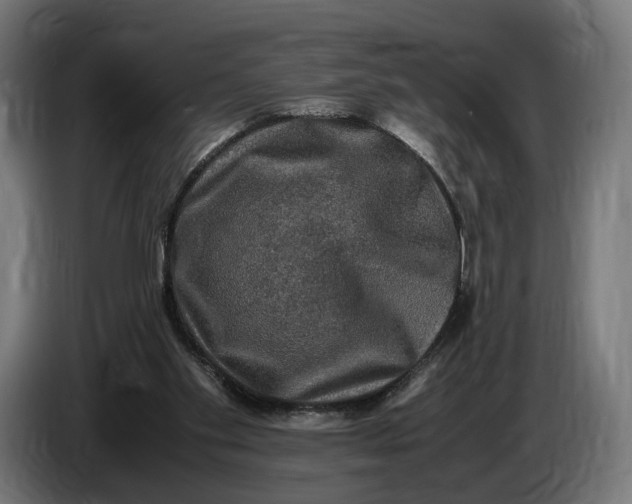 X0000086760109200705041456