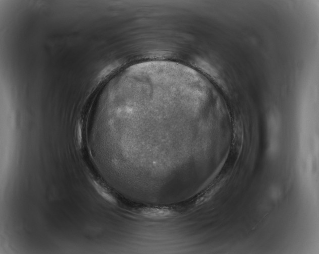 X0000086760110200705041456