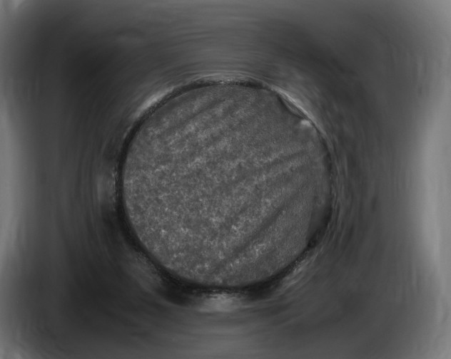 X0000086760111200705041456