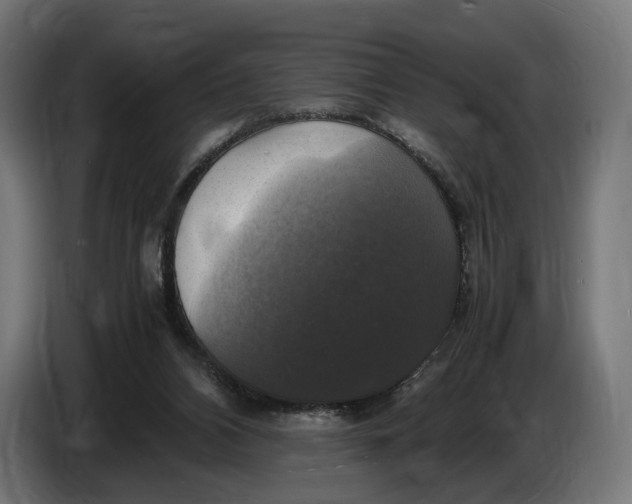 X0000086760112200705041456