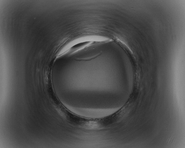 X0000086760114200705041456