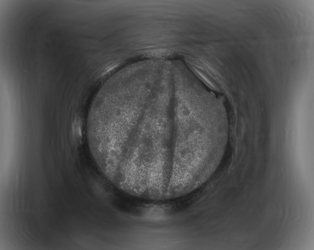 X0000086760115200705041456