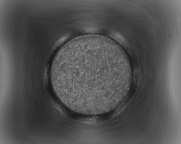 X0000086760116200705041456