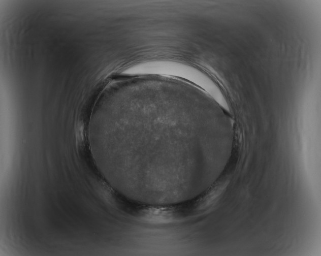 X0000086760117200705041456