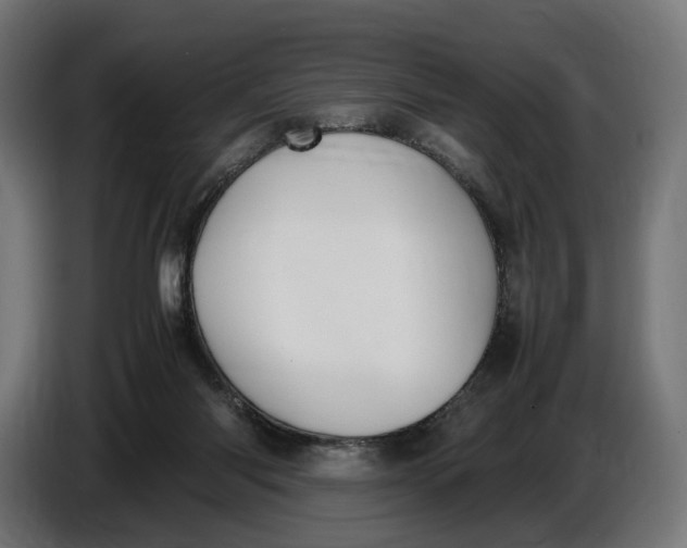 X0000086760118200705041456