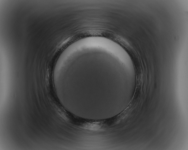 X0000086760120200705041456