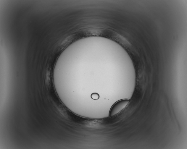 X0000086760122200705041456