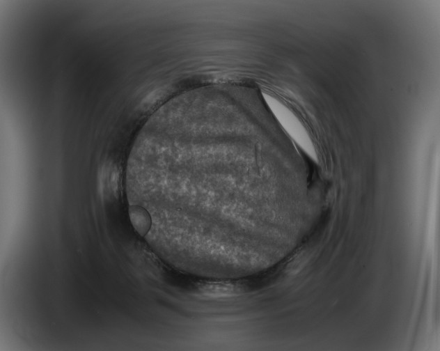 X0000086760123200705041456