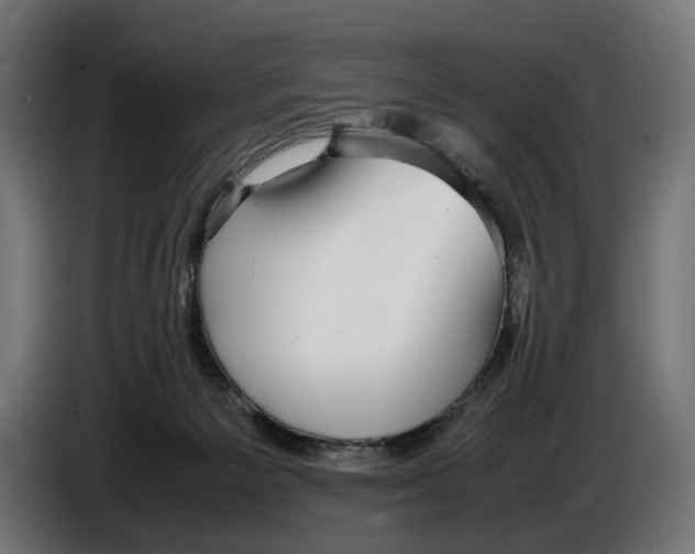 X0000086760125200705041456