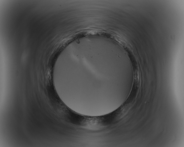 X0000086760127200705041456