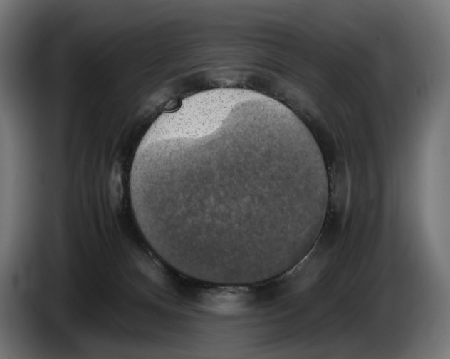 X0000086760128200705041456