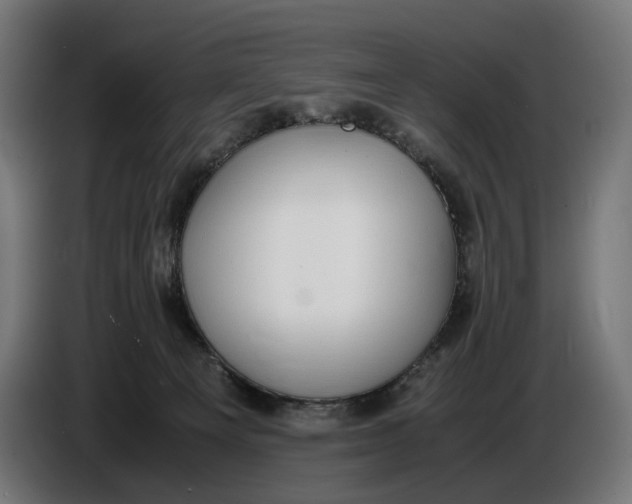 X0000086760129200705041456