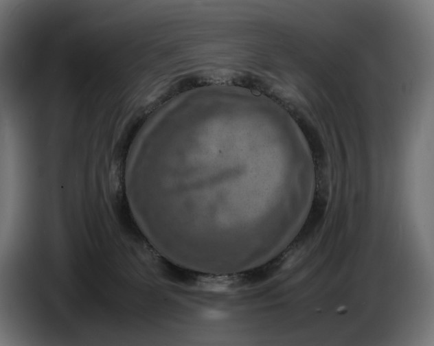 X0000086760131200705041455