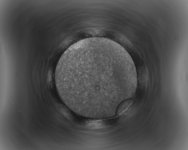 X0000086760132200705041455