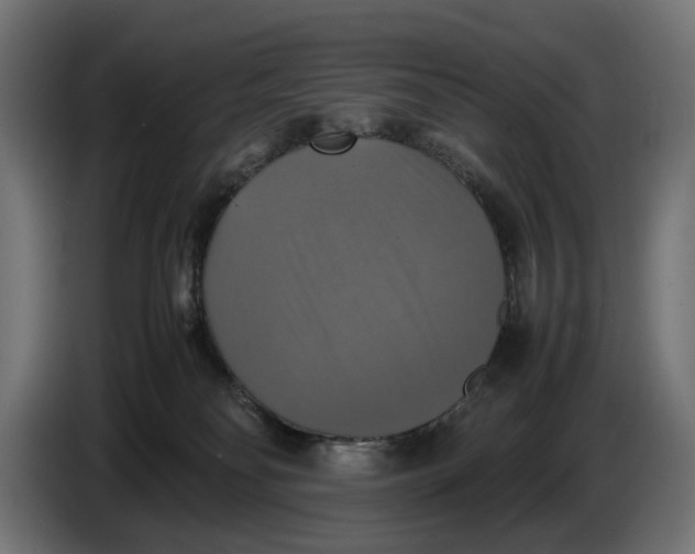 X0000086760134200705041455