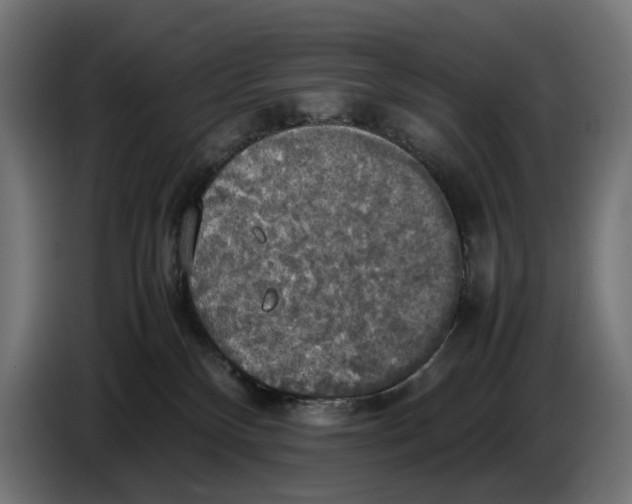 X0000086760136200705041455