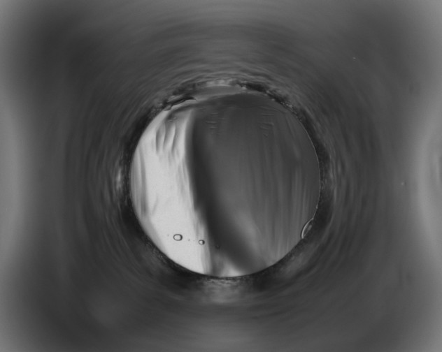 X0000086760139200705041455