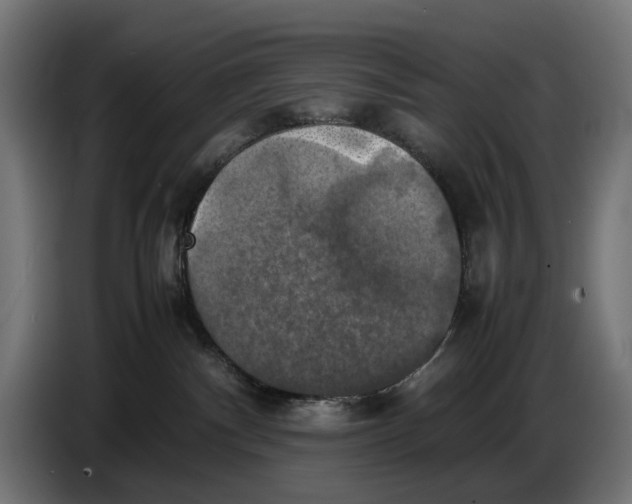 X0000086760140200705041455