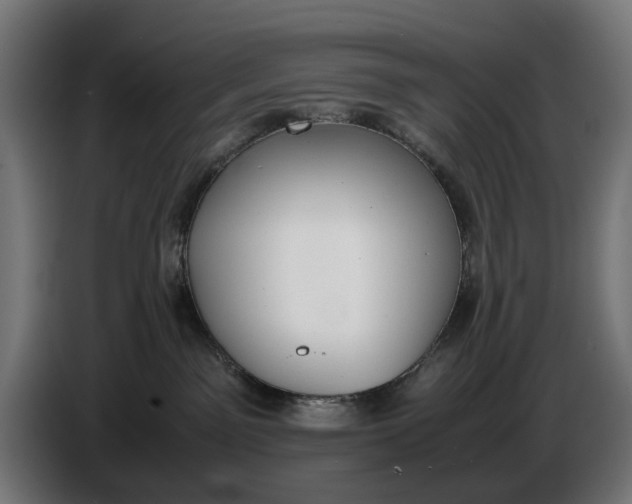 X0000086760141200705041455