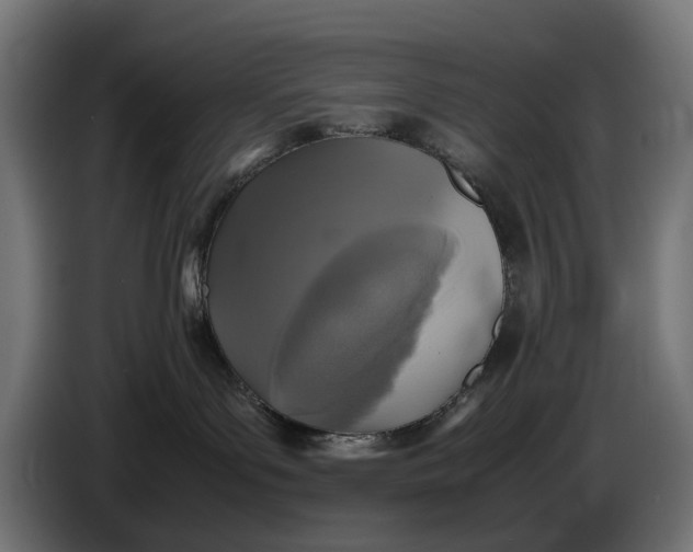 X0000086760143200705041455