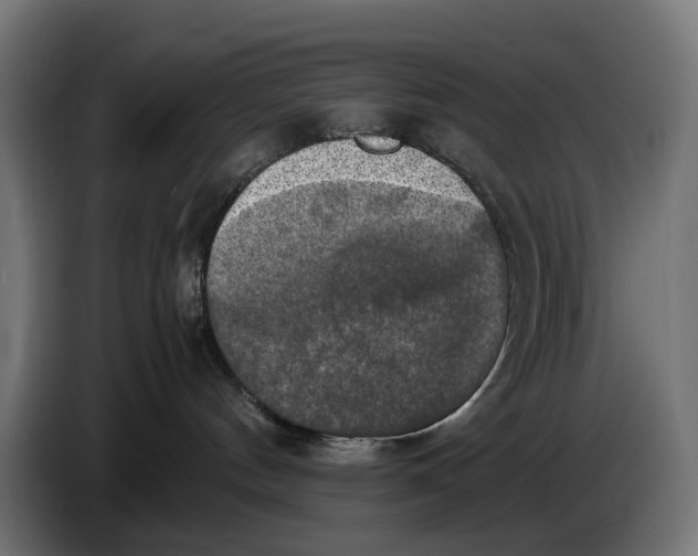 X0000086760144200705041455