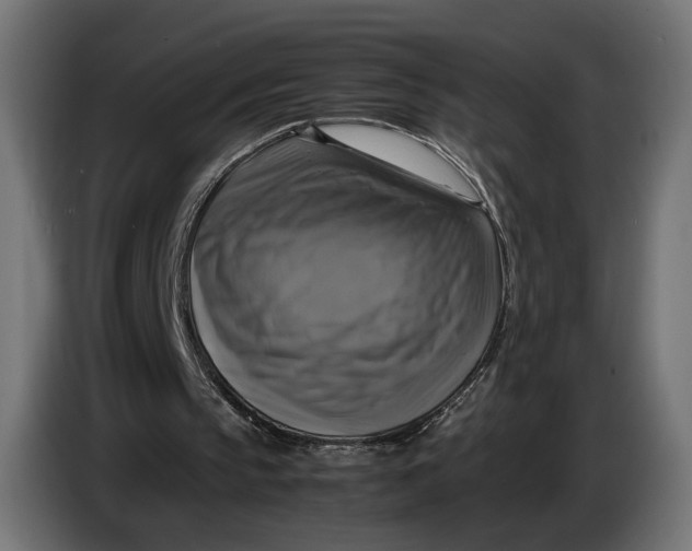 X0000086760145200705041455