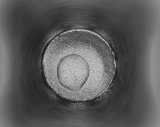 X0000086760146200705041455