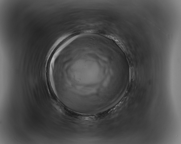 X0000086760147200705041455