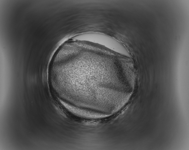 X0000086760148200705041455